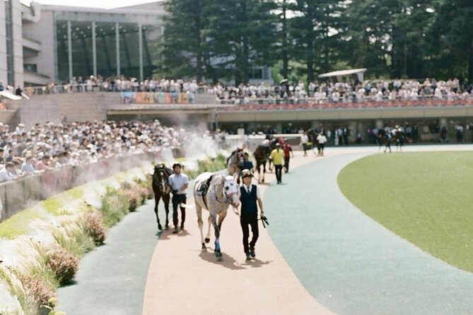 Horse Racing Tour with Local Fans in Tokyo, Oi Racecourse - Predictions and the Fun of Choosing: How to Use the Advice