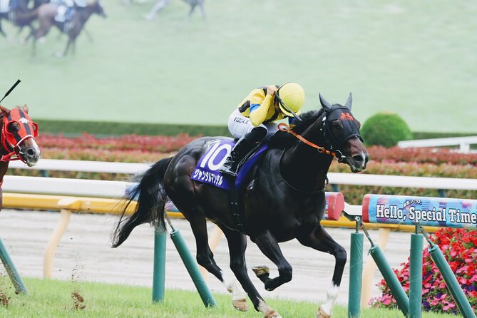 Horse Racing Tour with Local Fans in Tokyo Racecourse - Key things to know before you go