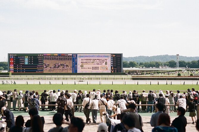 Horse Racing Tour with Local Fans in Tokyo Racecourse - From Shibuya to Tokyo Racecourse: the train ride you’ll actually enjoy