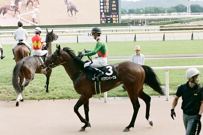 Horse Racing Tour with Local Fans in Tokyo Racecourse - Betting with confidence: how the guide helps you join the action