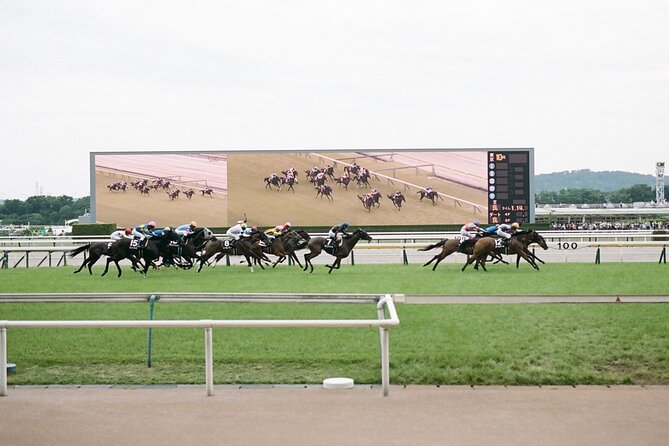 Horse Racing Tour with Local Fans in Tokyo Racecourse - Getting the hang of Japanese racing fast: simple explanations that stick