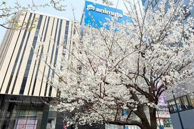 Ikebukuro Anime and Game Culture Experience Tour - Getting Oriented in Ikebukuro: where you meet and where you end