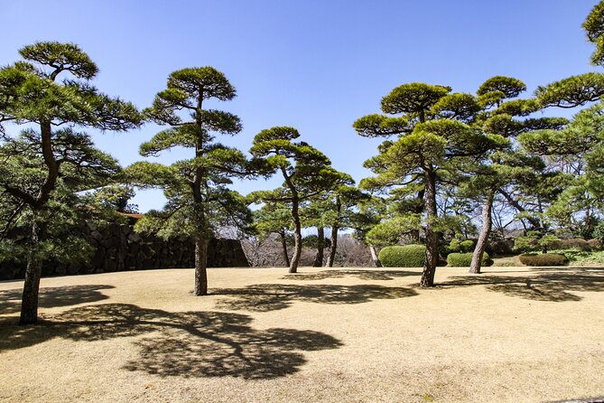 Imperial Palace to Tokyo Station Historical Walking Tour - Plum Tree Hill Views and Edo Castle Remains
