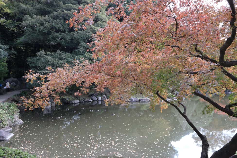 Imperial Palace Tour: Discover Samurai History with a Guide - Pace, Fitness, and Who This Tour Fits Best