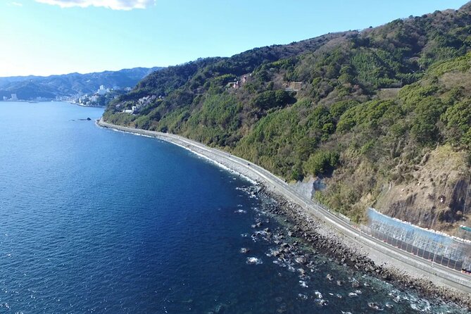 Izu Mount Omuro Day Tour: Atami Beach Line,Ropeway,Jogasaki Coast - Entering The Izu Peninsula: what this Tokyo-to-coast day feels like