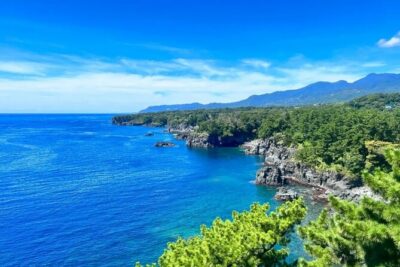 Izu Mount Omuro Day Tour: Atami Beach Line,Ropeway,Jogasaki Coast - Atami Beach Line: your 10-minute coastal preview from the bus