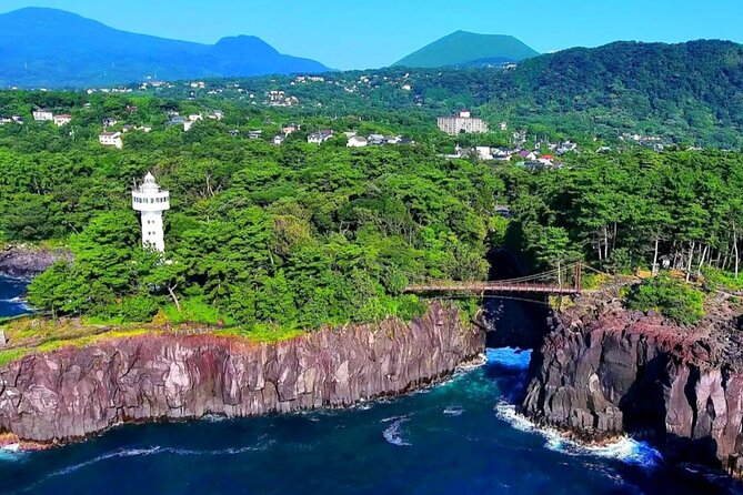Izu Mount Omuro Day Tour: Atami Beach Line,Ropeway,Jogasaki Coast - Price and value: what you’re really paying for at $91.47