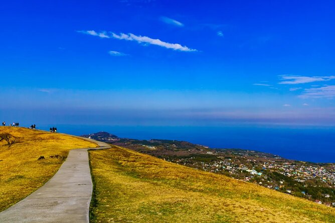 Izu Mount Omuro Day Tour: Atami Beach Line,Ropeway,Jogasaki Coast - Who this tour suits best (and who should look elsewhere)