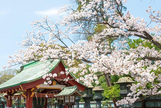 Japanese Food Experience Night Tour in Ueno - Key things to know before you go