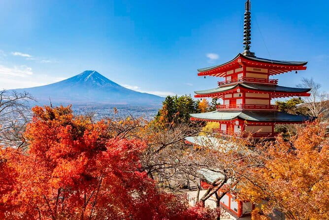 Japan's Best Mount Fuji Tour - Meeting at Kogakuin University Shinjuku: Find the bus without stress