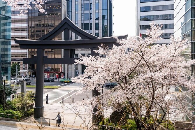 Japan's Best Mount Fuji Tour - The Mount Fuji viewpoint stop: enjoy it even when it’s invisible