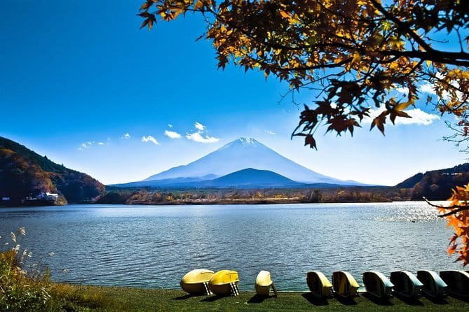 Japan's Best Mount Fuji Tour - Back to Shinjuku by 6 pm: timing, guide help, and cash rules