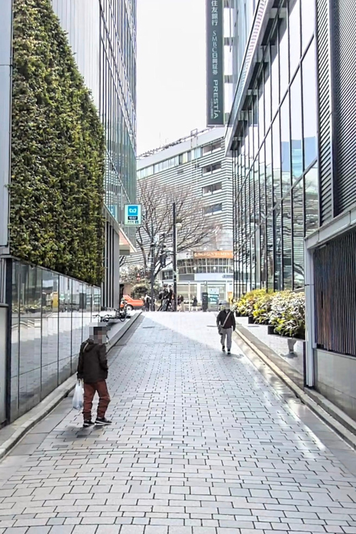 Kabukicho Macabre Tour - the Real Tokyo Vice - What to Expect Before You Go (So You’re Comfortable)