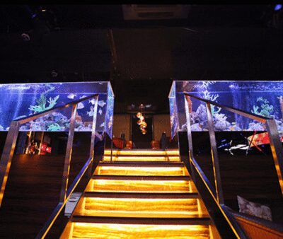 Kabukicho, Shinjuku: experiencing Japanese Host Club - Your host, plus translation: how the conversation actually works