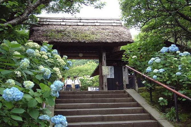 Kamakura 8 hr Private Walking Tour with Licensed Guide from Tokyo - Hasedera’s Viewpoints and the Hatobure Stop on Komachi Street