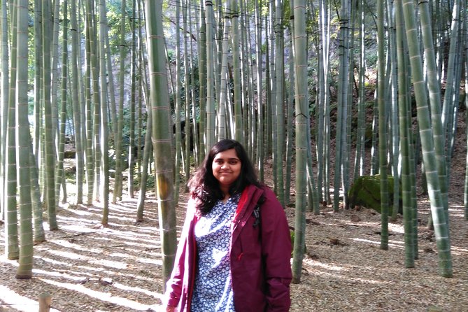 Kamakura 8 hr Private Walking Tour with Licensed Guide from Tokyo - Hokoku-ji Bamboo and the Calm Between Temples