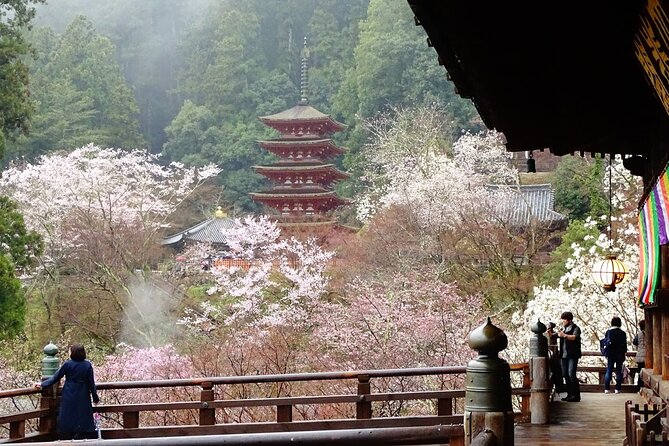 Kamakura and Yokohama Private Tour with Bilingual Chauffeur - Why a private Kamakura–Yokohama day makes sense from Tokyo