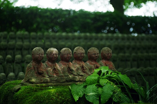 Kamakura Full-Day Private Tour from Tokyo (Customizable) - Hasedera Temple and Ocean Views: Kannon, Gardens, and Hill Work