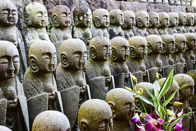 Kamakura Full Day Walking Tour with Local Expert Guide and Pickup - Price and Value: What $118.88 Covers (and What Usually Costs Extra)