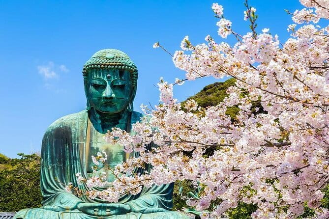 Kamakura Great Buddha and Enoshima with hotel Pickup small group - Key highlights worth planning for