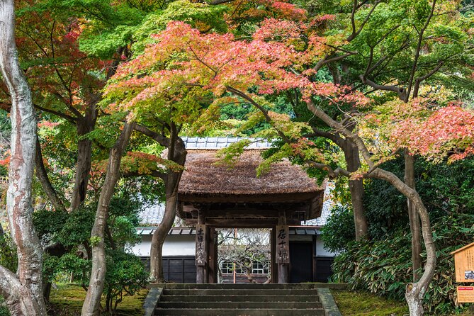 Kamakura Historical and Cultural Day Trip with Local Cuisine - Timing that makes a difference: early pickup and a focused route