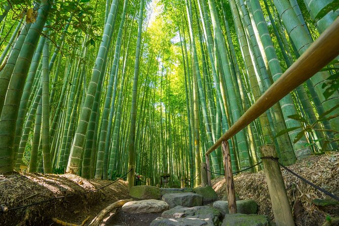 Kamakura Historical and Cultural Day Trip with Local Cuisine - The private guide factor: how you’ll actually enjoy the temples
