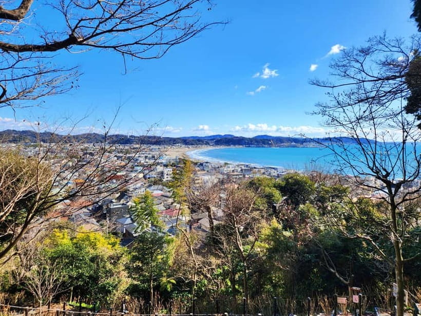 Kamakura Private & Customizable Tour - All-in-One Experience - How the 2 to 8 Hour Window Changes What You Can Do