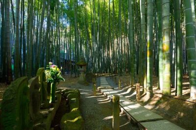 Kamakura Private Tour Great Buddha & Enoshima with English guide - Kotoku-in and the Great Buddha: your first big wow