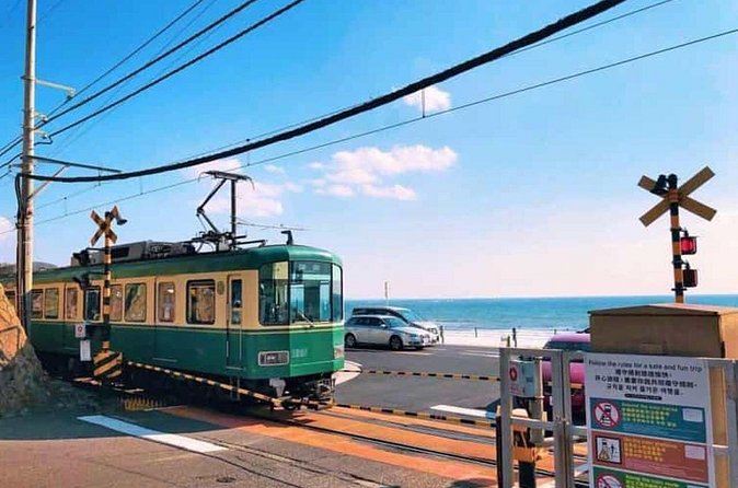 Kamakura Private Tour Great Buddha & Enoshima with English guide - Price and value for a group up to six