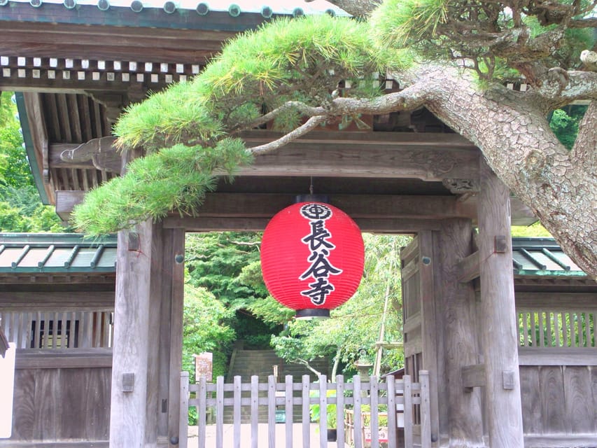 Kamakura Temples Private Guided Tour from Tokyo - Tsurugaoka Hachimangu: Shinto rituals and Kamakura’s center point