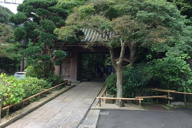 Kamakura Walking Tour with Local Guide Including Hokokuji Temple - Key Highlights You’ll Actually Feel