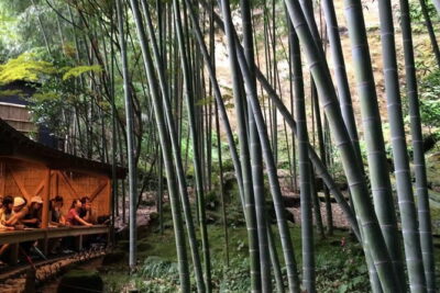 Kamakura Walking Tour with Local Guide Including Hokokuji Temple - Start Smart at 9:00 With Pickup and a Route You Don’t Have to Invent