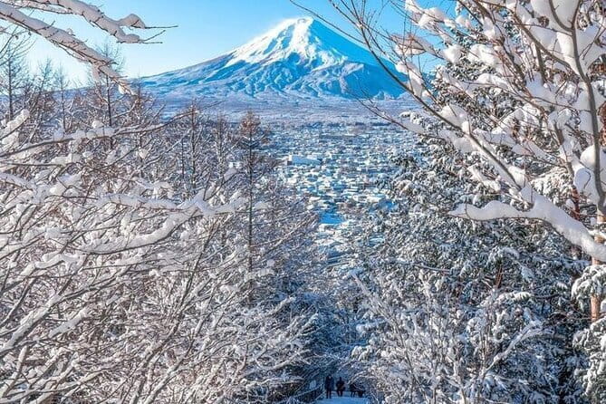 Kamkura: Private Zazen, Matcha at Bamboo Temple & Mindful Cuisine - Who This Tour Suits (and Who Might Want Something Else)
