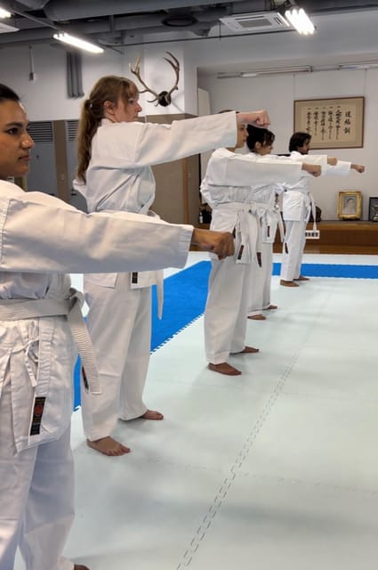 Karate Experience with the Shotokan Karate-do Instructor - Uniforms, What to Bring, and What You Can Skip