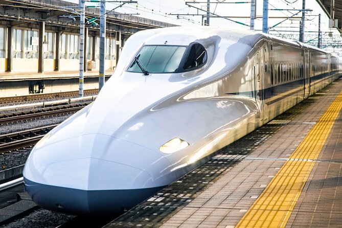 Kyoto Early Bird Tour Tokyo Round or One Way Shinkansen - Stop 1: Arashiyama Bamboo Grove, Quiet Photos, Real Timing