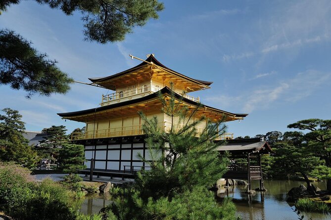 Kyoto Early Bird Tour Tokyo Round or One Way Shinkansen - The Walking, Heat, and Pace Reality Check
