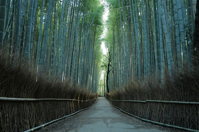 Kyoto Early Bird Tour Tokyo Round or One Way Shinkansen - Small Group Comfort (Max 8) and What the Guide Adds