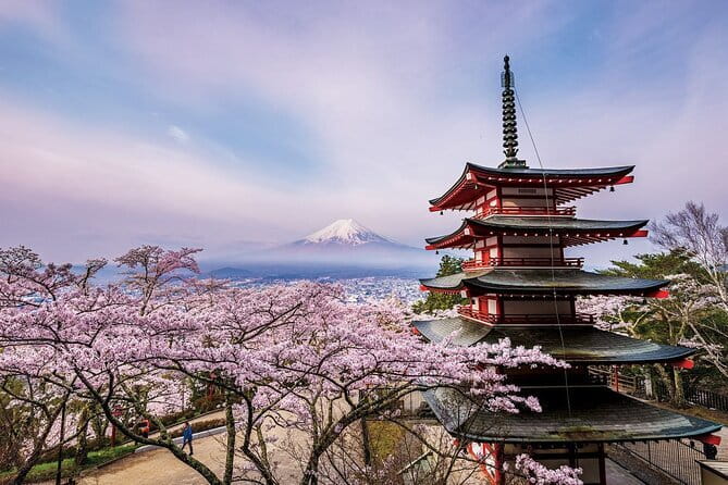 Kyoto Uncovered: One Full-Day Private Experience for First-Timers - Stop 4: Nishiki Market, Kyoto’s Kitchen (Free Time to Snack)
