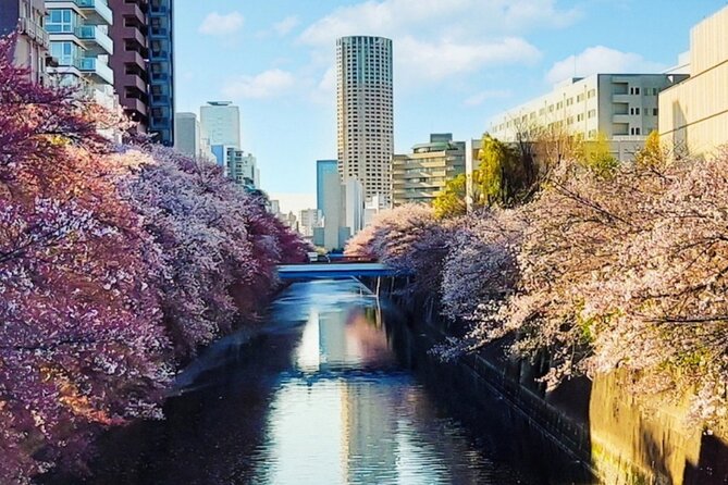 Licensed Guide Tokyo Meguro Cherry Blossom Walking Tour - Key things you’ll notice on this Meguro walk