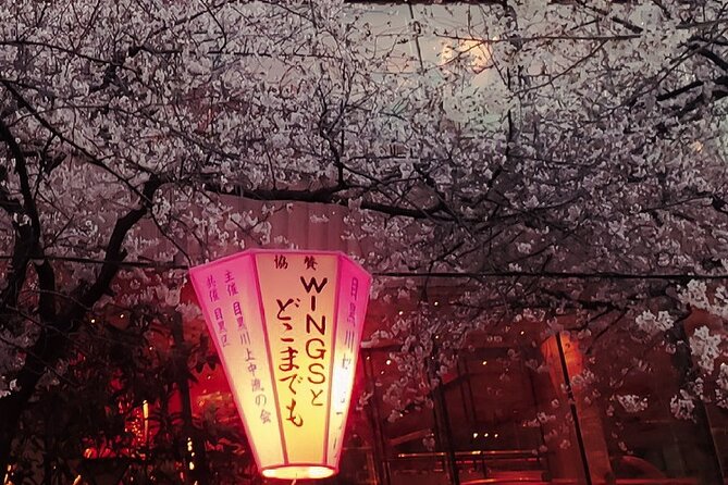 Licensed Guide Tokyo Meguro Cherry Blossom Walking Tour - Stop 2: Daienji Temple’s Edo-era fire story in 20 minutes