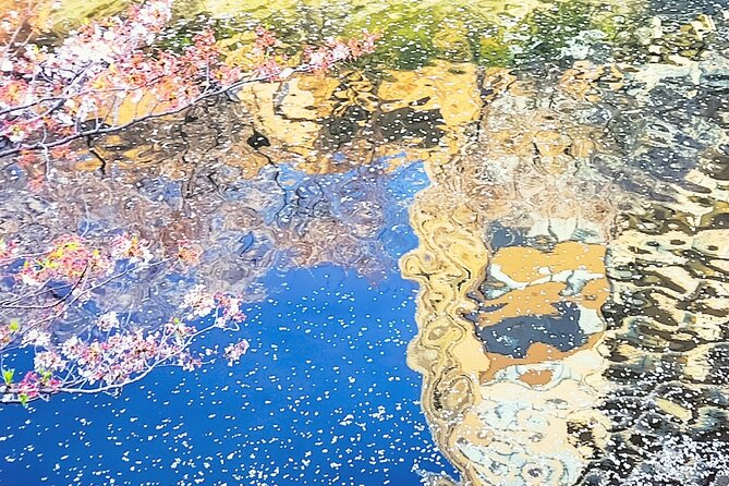 Licensed Guide Tokyo Meguro Cherry Blossom Walking Tour - Price and value: what $22.86 gets you in practice