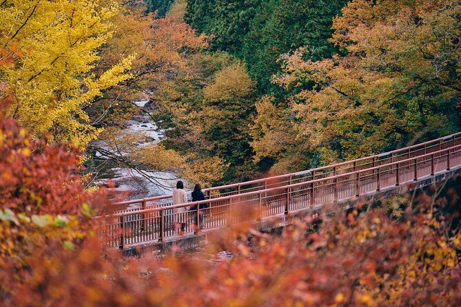 Little Adventure with Cycling in Tokyo No. 1 Crystal Clear River - Cycling the second half, then the suspension bridge