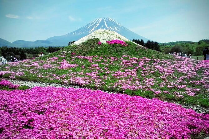 Majestic Mount Fuji: Exclusive Private Day Tour - Why a private Fuji day from Tokyo feels easier