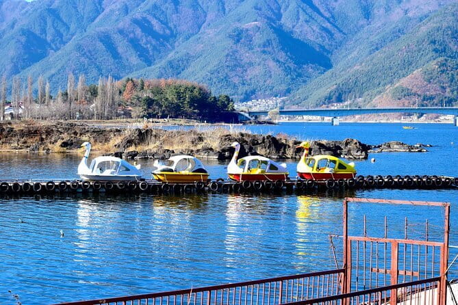 Majestic Mount Fuji: Exclusive Private Day Tour - Lawson Kawaguchiko Station: the Fuji-photo stop with a small treat