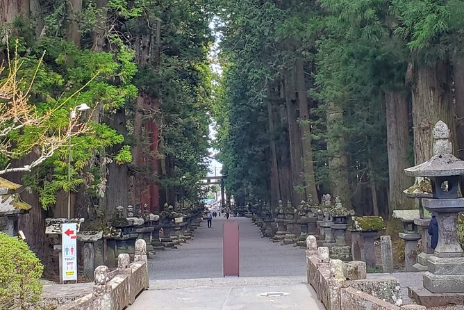 Majestic Mt. Fuji & Hakone Retreat –A Private Day Tour from Tokyo - Meeting your guide in Tokyo and staying comfortable on the road