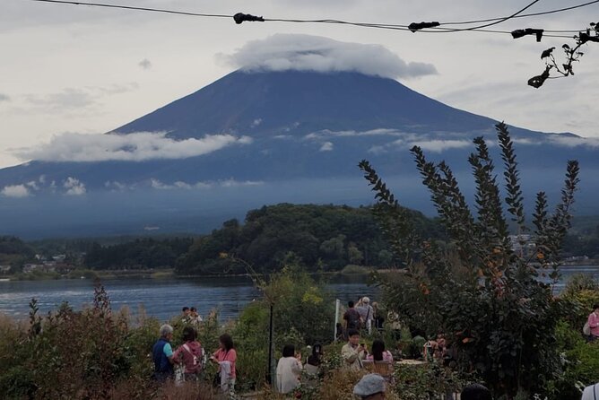 Majestic Mt. Fuji & Hakone Retreat –A Private Day Tour from Tokyo - Mt. Fuji 5th Station: worth it if the weather cooperates