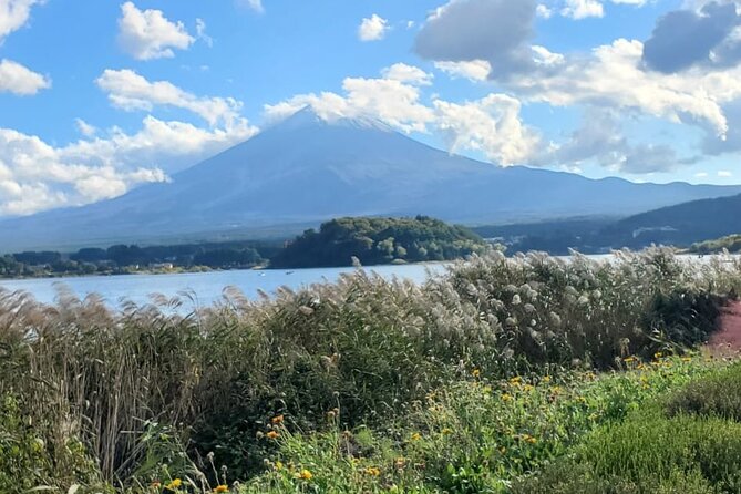 Majestic Mt. Fuji & Hakone Retreat –A Private Day Tour from Tokyo - Lake Kawaguchiko and Oshino Hakkai: Fuji scenery with easy walking