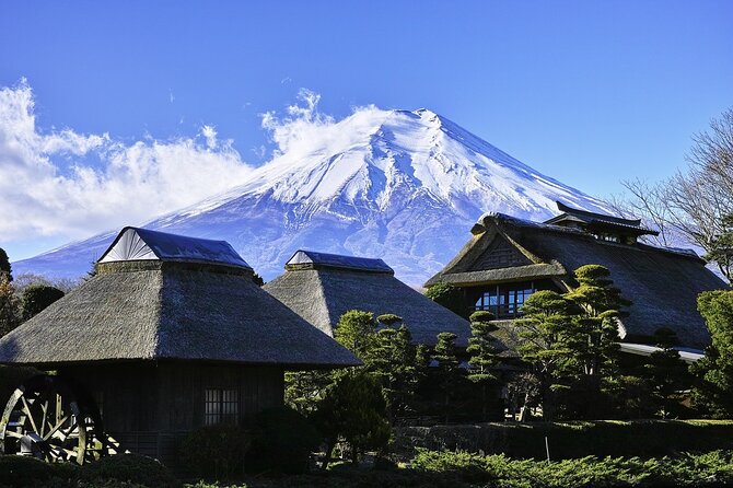 Majestic Mt. Fuji & Hakone Retreat –A Private Day Tour from Tokyo - Price and what you’re paying for (up to 5 people)