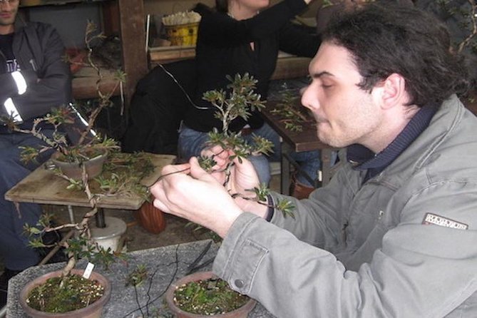 Make Your Own Bonsai with a Professional Bonsai Artist in Tokyo - Small-group advantage: why max 6 changes everything