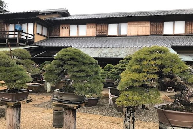Make Your Own Bonsai with a Professional Bonsai Artist in Tokyo - Your 2-hour bonsai class plan (and how it usually feels)